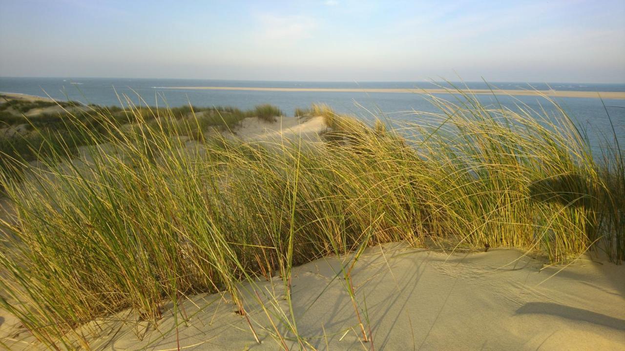 Cottage La Dune Avec Piscine Les Cigales Du Bassin A Гюжан-Местрас Экстерьер фото